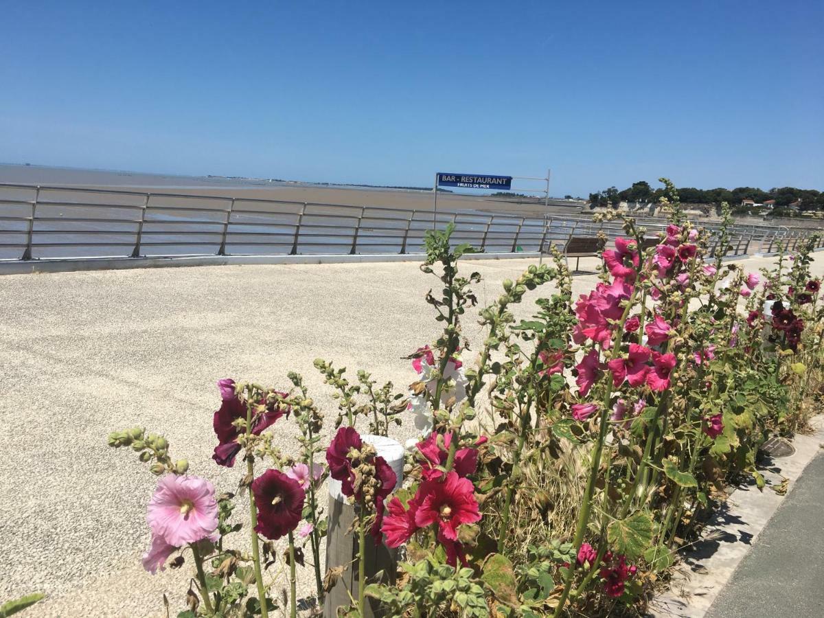 Petit Nid A 50m De La Au Coeur De Apartment Fouras