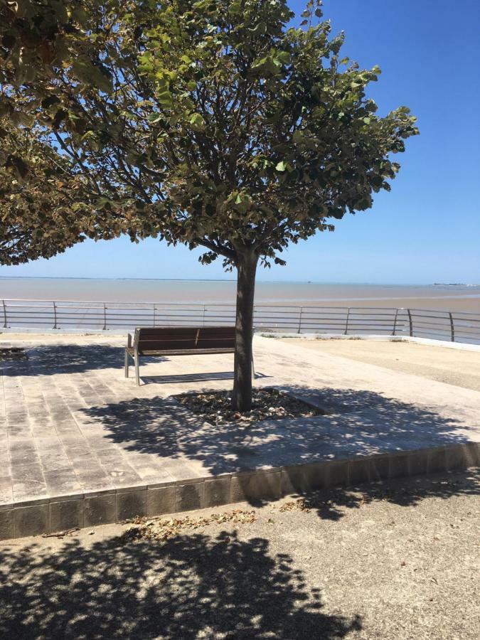 Apartment Petit Nid A 50m De La Au Coeur De
